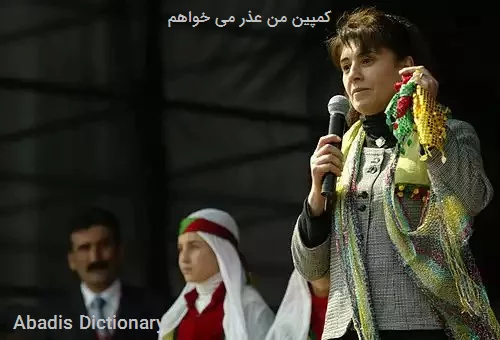 کمپین من عذر می خواهم